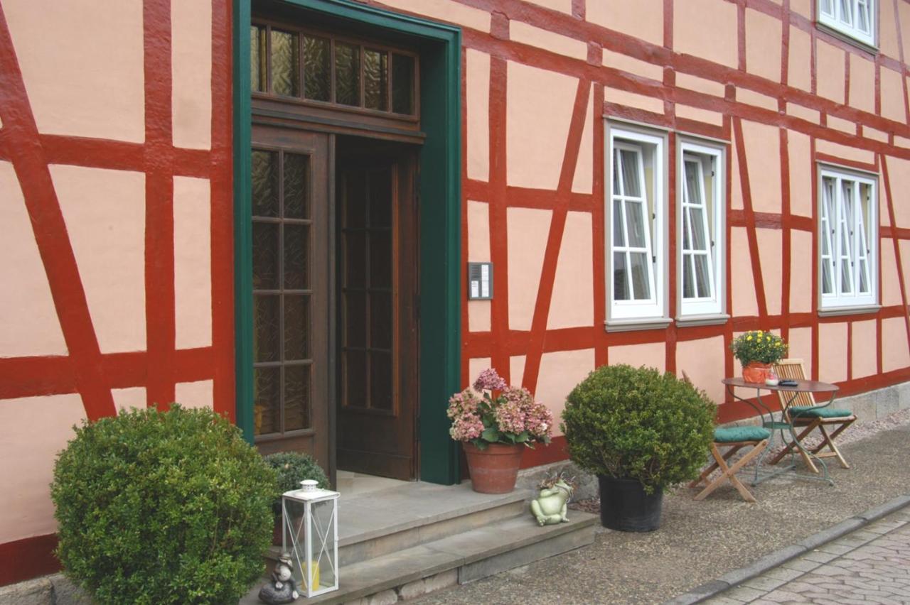 Apartment Froschkönig *